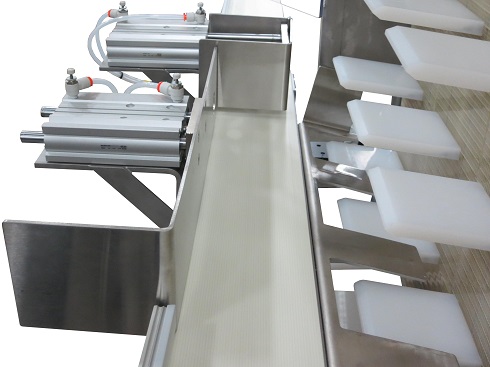 Cleat Pocket Alongside 3200 Series belted conveyors